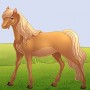 Beautiful horse in white oak stables online game