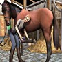Cleaning and taking care of horse in i love horse riding academy collection game