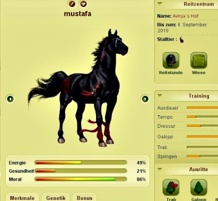 online horse breeding games