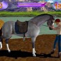 Grooming horse in barbie horse adventures game for Play Station 2
