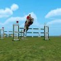 Horse crossing over oxer bars in jumpy horse show jumping game