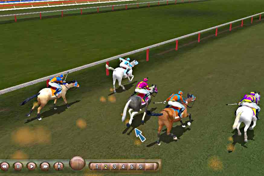 Horse racing in championship horse trainer game