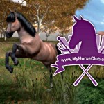 Alica Online Horse PC Game - My Horse Story - ReviewHorse Games