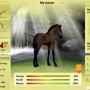 Taking care of horse in howrse online game