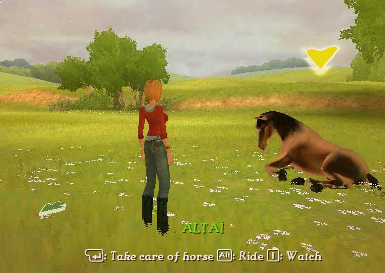 Kristus Natur Låse Imagine Horse Rider Game for PC,PSP,DS & WiiHorse Games