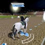 Training horse in lets ride riding star pc game