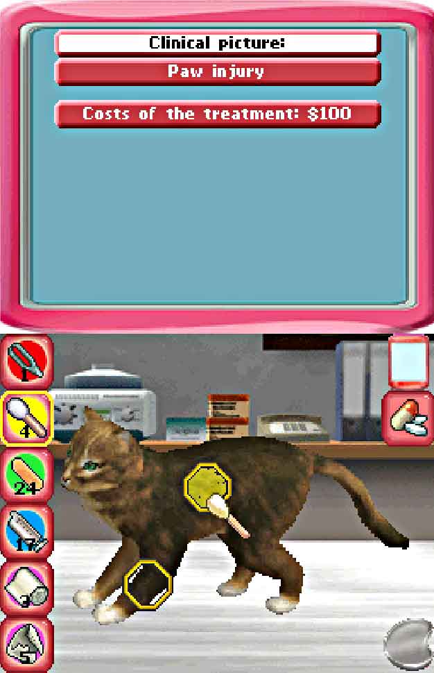 Paws and Claws Pet Vet 2 Healing Hands DS Game