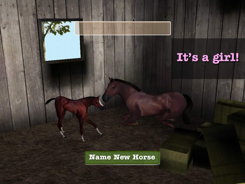 Horse Games Download For Mac