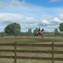 My Horse, a horse game for the iPad