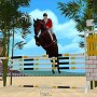 Beautiful arabian horse jumping over triple bar in jumpy horse show jumping iphone game