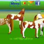 Beautiful horses in jumpy horse game