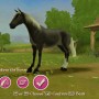 Beautiful mustang horse in imagine champion rider game