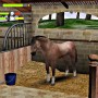 Cleaning and grooming horse in my horse club game