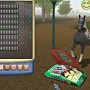 Grooming and enhancing skills of horse in championship horse trainer pc game
