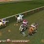 Horse racing in championship horse trainer game