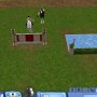 Horse riding and jump training in sims 3 pets
