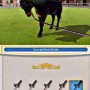 Horse training in my ridding stables 3D rivals in the saddle