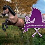 My horse club online game