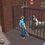 Taking care of horse in championship horse trainer