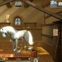 Taking care of horse in secret of the magic crystals