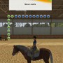 Training horse in championship riding star pc game