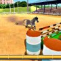 Training horse in my riding stables 3D