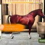 Derby quest: breed your horse