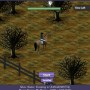 Horseland.com online horse community game