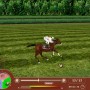 Jumping horse and jockey in horse racing manager pc game