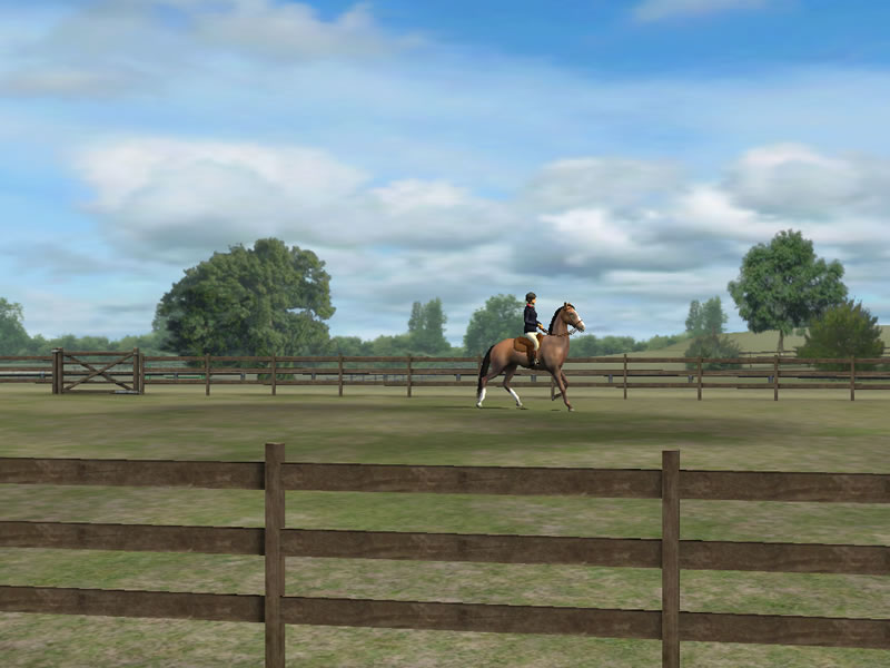 My Horse iPhone or iPad horse game - Horse game appHorse Games