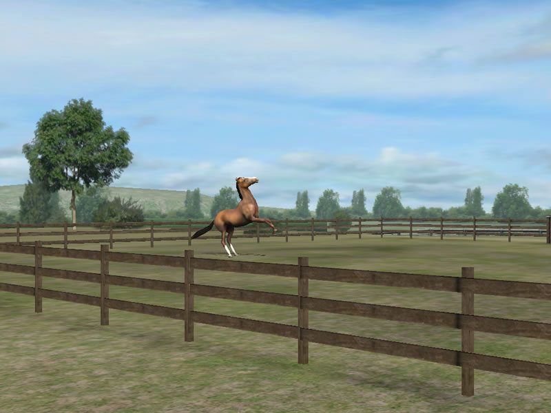 best horse games for mac